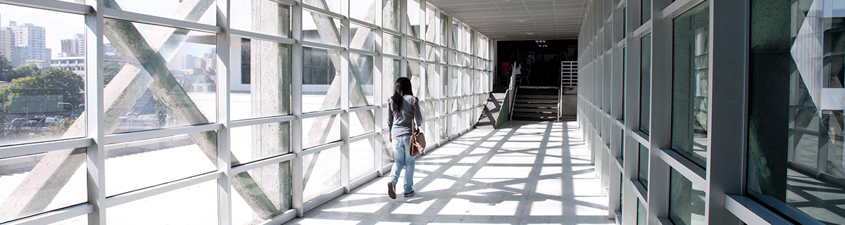 UST Transparente