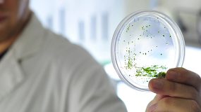 Austral Biotech