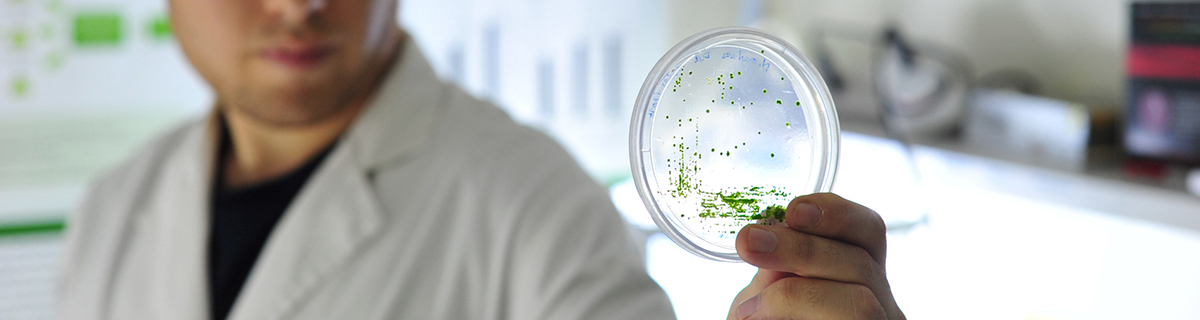 Austral Biotech