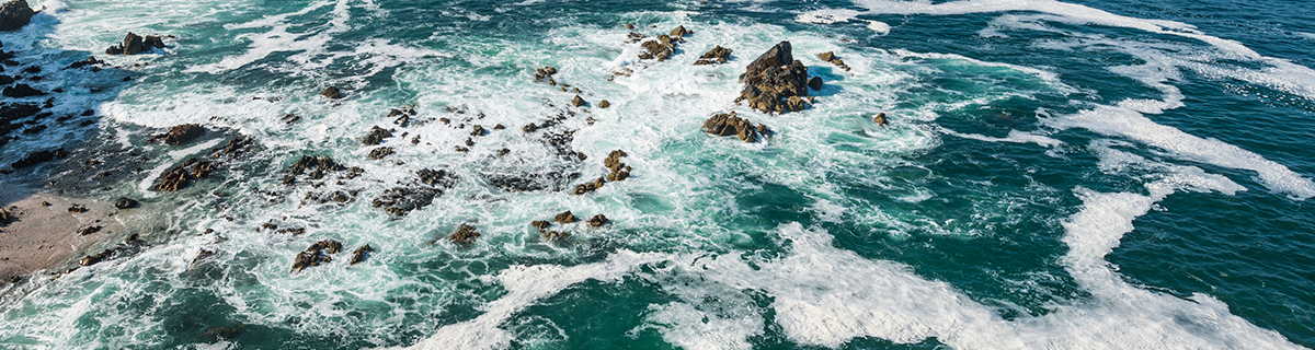 CIICC - Centro de Investigación e Innovación para el Cambio Climático