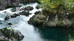 Doctorado en Conservación y Gestión de la Biodiversidad