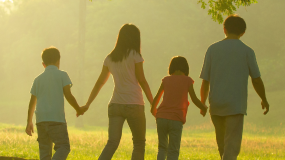 Newsletter Calidad de Vida