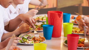 Internado de Nutrición Comunitaria Intraescolar