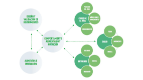 Líneas de desarrollo