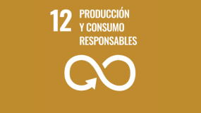 Producción y Consumo responsables