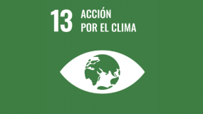 Acción por el clima