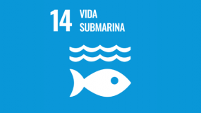 Vida submarina