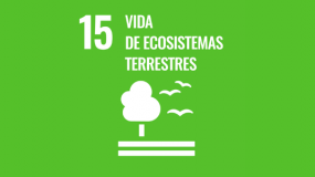 Vida de ecosistemas terrestres
