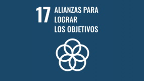 Alianzas para lograr los objetivos