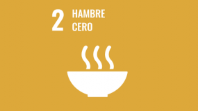 Hambre Cero