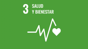 Salud y Bienestar