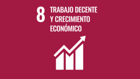 Trabajo decente y Crecimiento económico