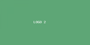 Colaborador lorem ipsum 2