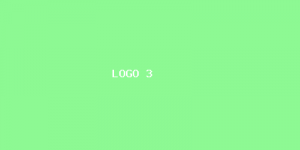 Colaborador lorem ipsum 3