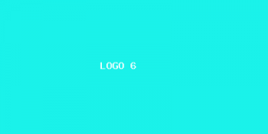 Colaborador lorem ipsum 6