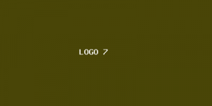 Colaborador lorem ipsum 7
